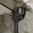 دودة جينسيس