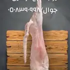 سواكن مرابي