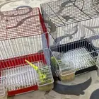 للبيع التواصل