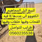 للبيع البل المجاهيم االكفوو