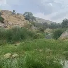 بهم حري (مطلوب)