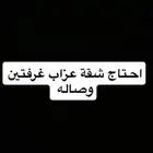احتاج شقة عزاب فالنسيم او بني مالك