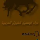 مزاد الاصيل للخيول العربية