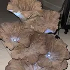 شلال منير