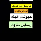توصيل خارج الدمام الخبر