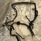 ظفيرة كاملة فتك