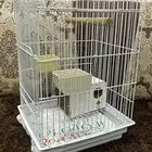 زوجين روز للبيع