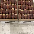 صقعي فاخر