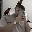 جوز بغبغاء رينبو لوري