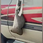 قربة امريكية اصلية