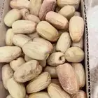 تمر بديره جديد وصفري