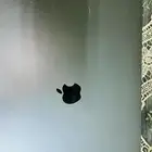 mac book pro 2019
