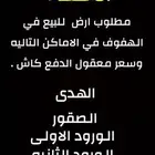 مطلوب اراضي الهفوف