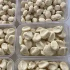 مضير رطب   بقل رطب