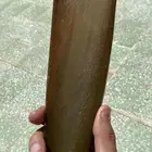قرن جنبيه