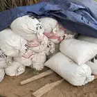 خرايط تمر صفري