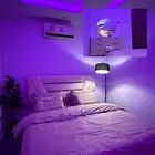 شاليه رانيا العفجه