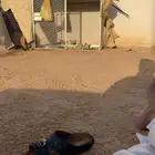 للبيع شبوك و محكر