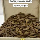 عود موروكي محسن