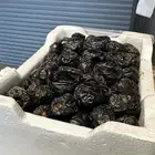عجوة المدينة المنورة