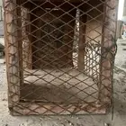 محكر