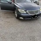 لكزس شورت امريكي