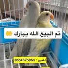 جوز روز فاخر