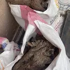 ارطا خياش ارطى طيبات