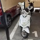 دباب سوزوكي عجيب