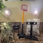 لتزاوج بسعر200 قط برتش مسجل يوجد قطط من الانتاج للبيع