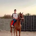 خيل