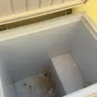 فريزر للبيع شغال