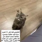 قط للتبني شرط مخافة الله