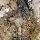 دفرنس ددسن 2015