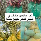 تمر خلاص وخضري فاخر اشيقر