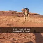 قعود