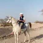 حصان كفو لا اللبيع