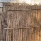 جويد نخل سواتر شعبية