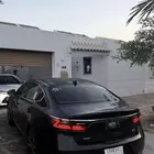 كادينزا 2017