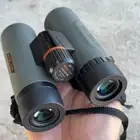 دربيل اثيلون امريكي