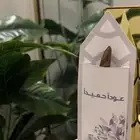 توزيعات معلمات