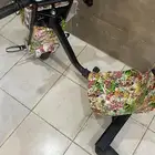 سكوتر كبير
