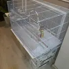 قفص حمام