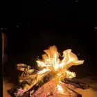 حطب قرض زيتون 25 شامل التوصيل داخل الخرج