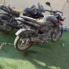 دباب بوكسر