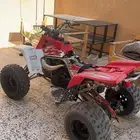 بانشي2009 اصل