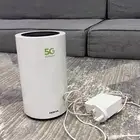 اللبيع