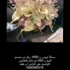 مسكة عروس 2025
