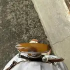 جنبيه