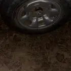 جنوط ديزل